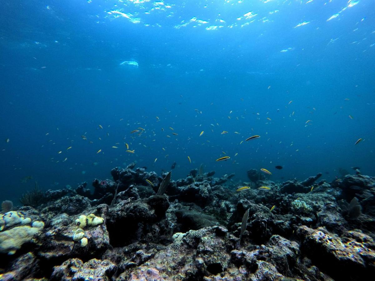 Casa Hayhu Otel Mahahual Dış mekan fotoğraf